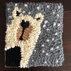 import placeholder for 5455